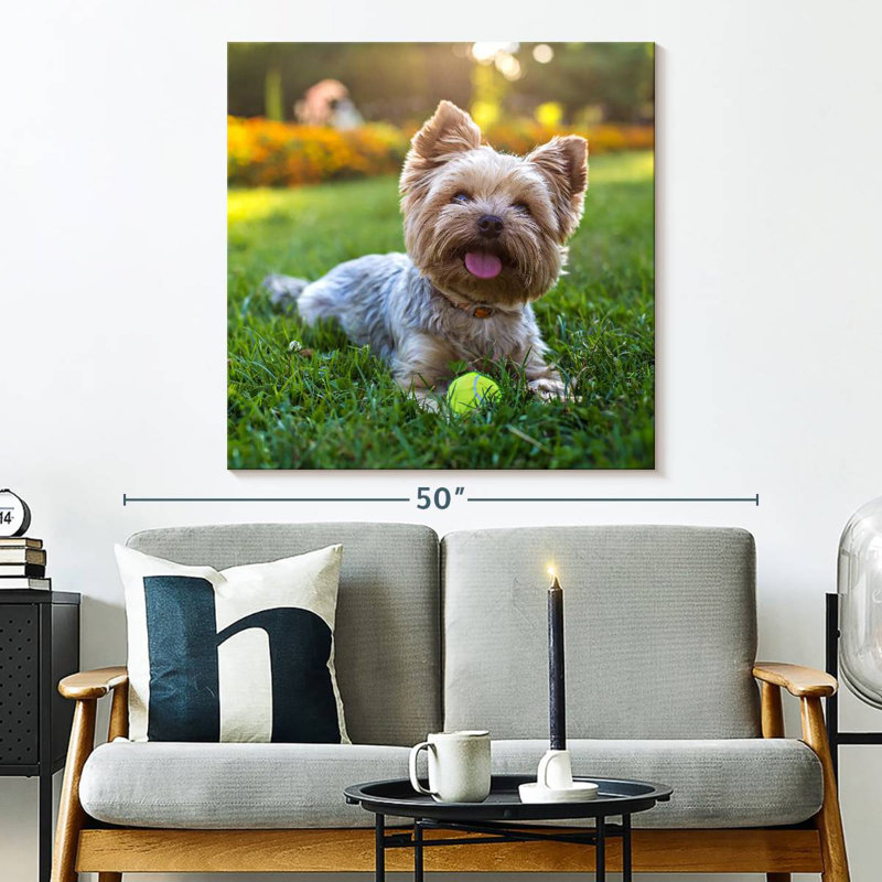 Yorkshire Terrier, 33" H x 33" W