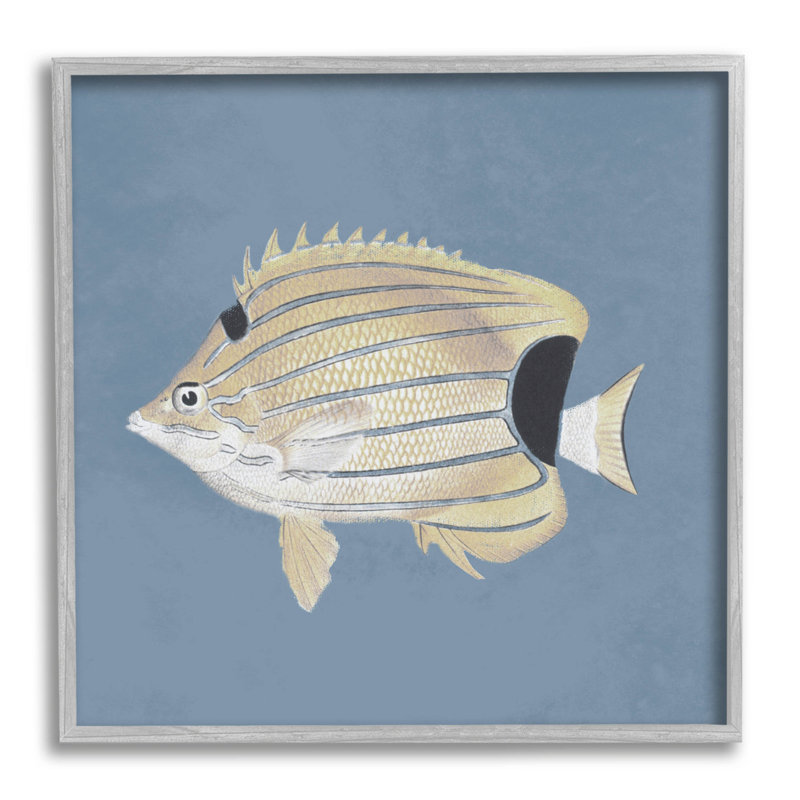 Portrait de poisson rayé sur fond bleu, estampe numérique par Piddix, H 17 po x l 17 po x P 1,5 po