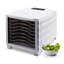 BioChef 800W Food Dehydrator-61774565