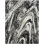 Abstract Area Rug in Black