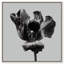 Tidal Wilt II Print by Oliver Gal-862276144-862276134