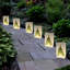 Holiday Tree Plastic Luminaria Bags - 12 Count