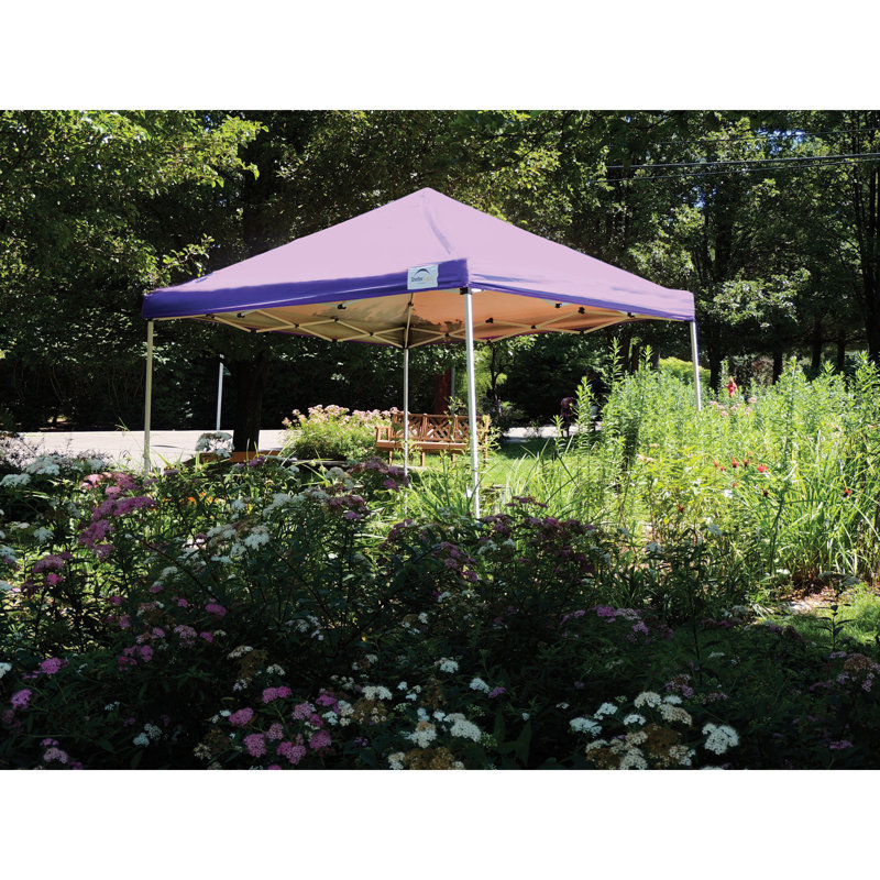 Auvent Pop-Up HD - Pied incliné, Mauve, Beige, 10 pi. L 10 pi. D
