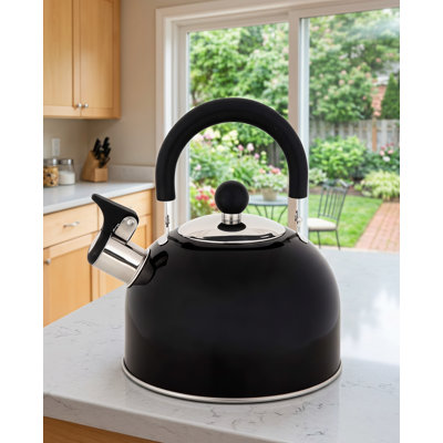 Bouilloire à sifflet en acier inoxydable de 2 pintes en noir, option d'eau chaude et d'infusion fiable pour les maisons, les dortoirs et les appartements.