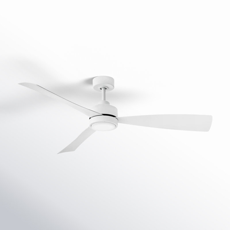 Trini 56'' Ceiling Fan with LED Lights, Matte White/Natural