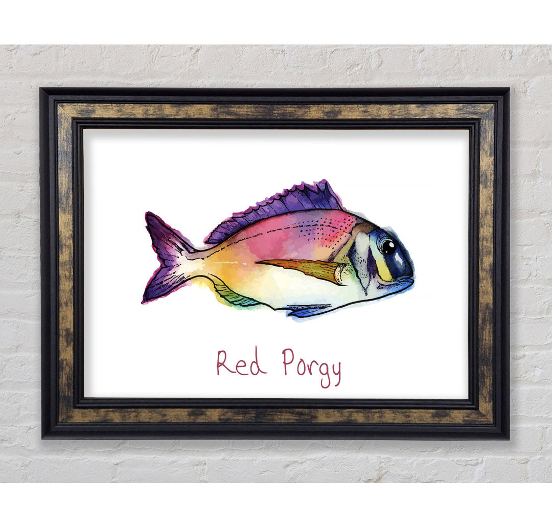 Red Porgy Rainbow Gerahmter Druck Wandkunst