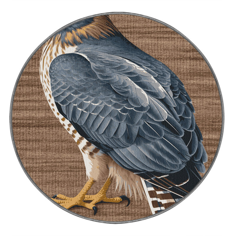 Washable Sharp shinned Hawk Birds Area Rug, Runner 2' x 4'
