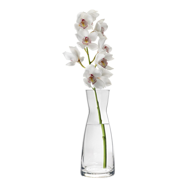Ypsilon Glass Carafe, 25.5cm H x 10.4cm W x 10.4cm D