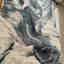 Photos des clients 6 de 6