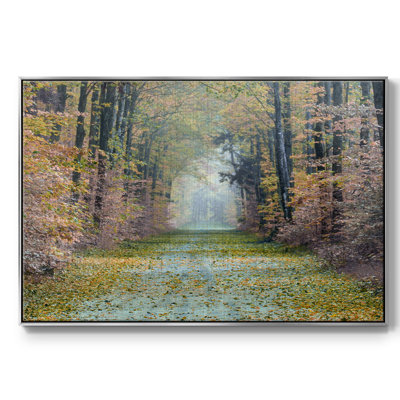 " Enchanted Path "