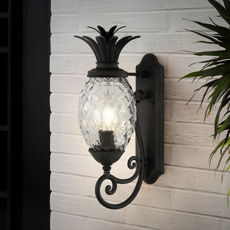 Alahya 54.1cm H Outdoor Wall Lantern, Museum Black