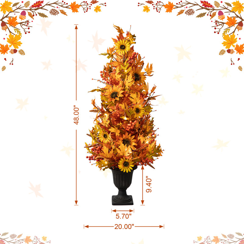 Mixed Assortment Arrangement
