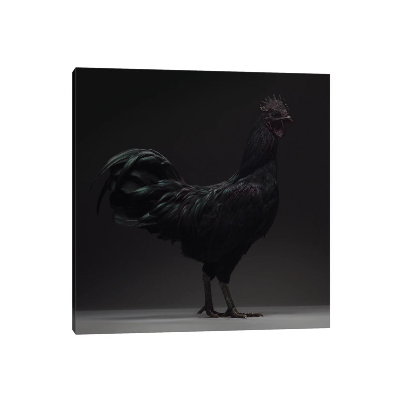 Ayam Cemani par - Toile tendue, H 12 po x l 12 po x P 0,75 po
