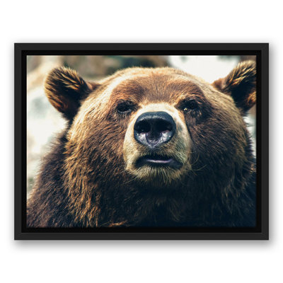 «Grizzly Bear», reproduction sur toile