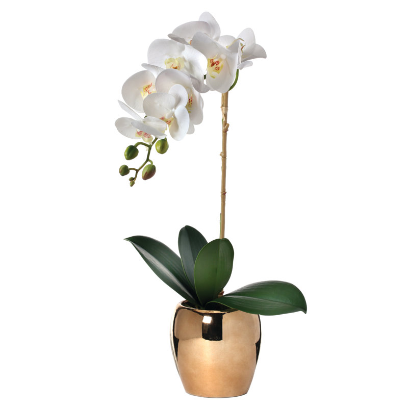 Arrangement in Pot, 20" H x 5" W x 6" D