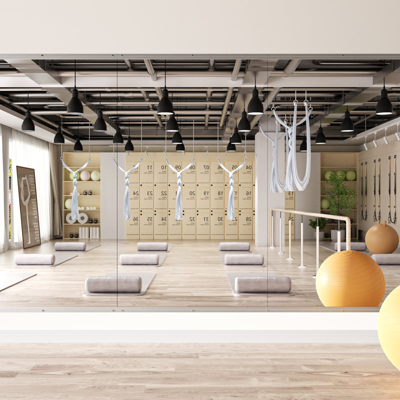 Miroirs d'entraînement pour la gymnastique à domicile, 72 po x 36 po, 2
