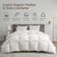 Insert de couette en duvet d'oie légère toutes saisons-1052384005