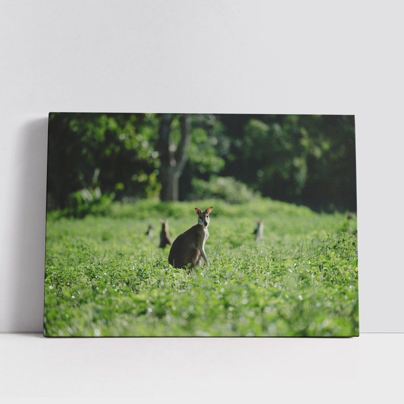 Kangaroos on Meadow, 8" H x 12" W