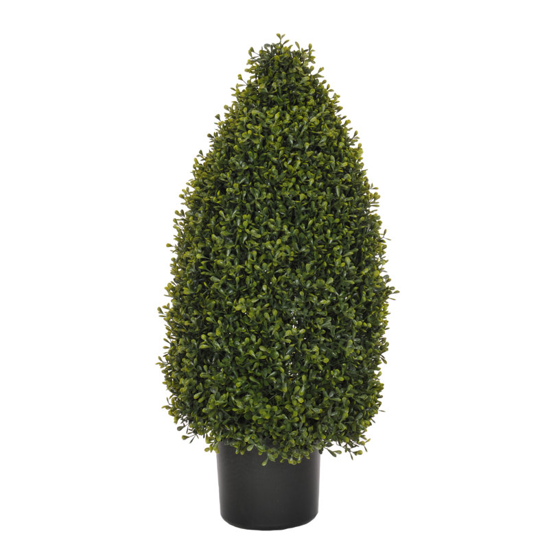 Boxwood Topiary, 30" H x 14" W x 14" D