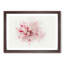 Striking White and Pink Carnation in Abstract - Framed Print-55730206-55730216