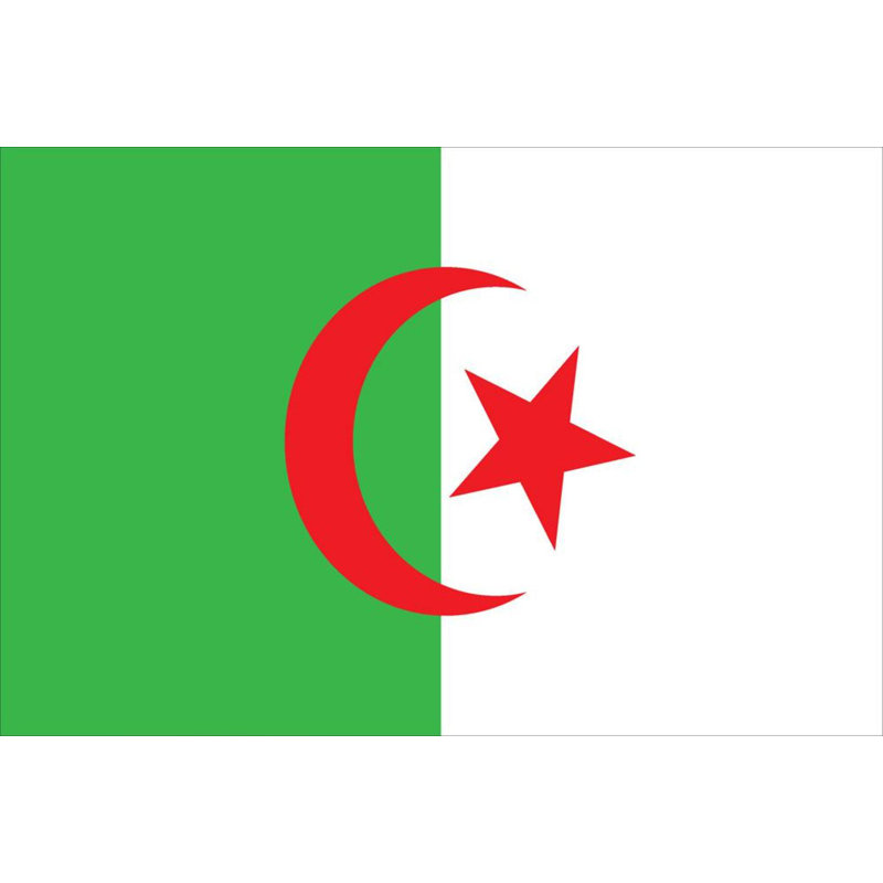 Drapeau de maison 2 côtés en nylon à 2 faces allied algérie world