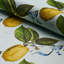 Schumacher x Johnson Hartig Le Citron Fabric-78878737