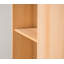 Boyden Solid Wood Computer Desk-33814238