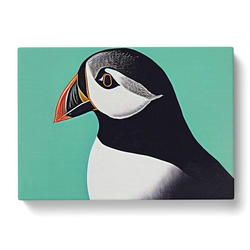 Stellar Puffin Bird - Wrapped Canvas