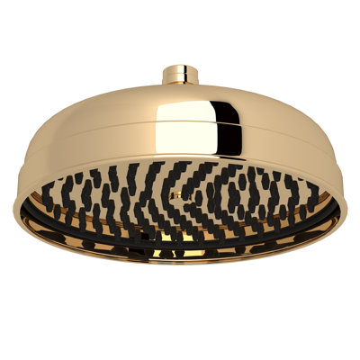 Transitional 8" Rain Showerhead
