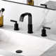 Widespread Bathroom Faucet with Drain Assembly
