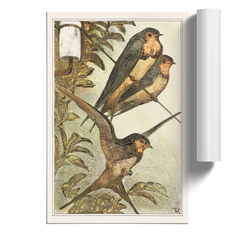 Three Swallows by Theo van Hoytema - Frameless Print, 30cm H x 21cm W x 0.1cm D