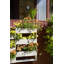 Folline Wood Planter Box