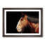 Brown Shire Horse in Abstract - Picture Frame Graphic Art Print-55681224-55681228