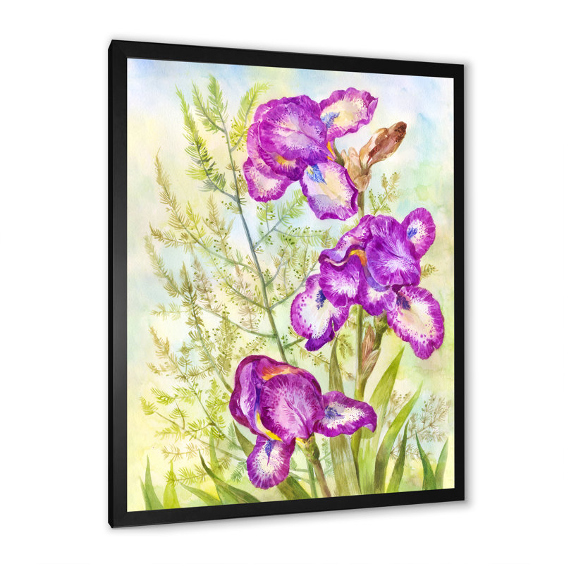 «Blooming Purple Irises In The Meadow», art mural sur toile traditionnel, Impression noire sur toile encadrée