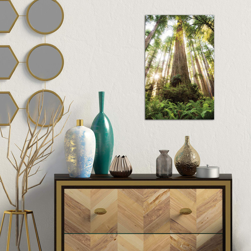 Redwood Forest by Stefan Hefele - Wrapped Canvas Print, 66.04 cm H x 45.72 cm W x 1.91 cm D