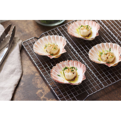 Nantucket Seafood Natural Baking Sea Shells, 4-Inch, Set Of 4
