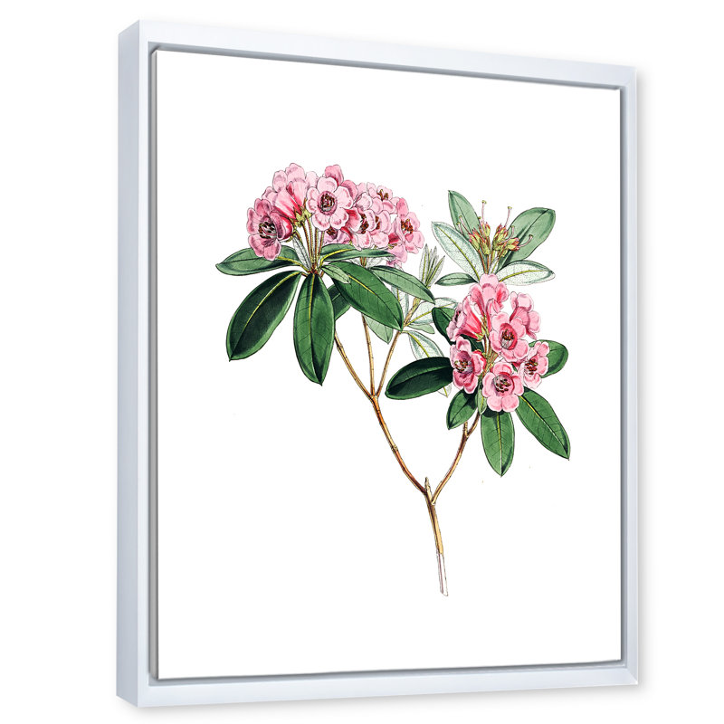Flore américaine rétro II - peinture sur toile, H 20 po x l 12 po x P 1po, Cadre flottant blanc