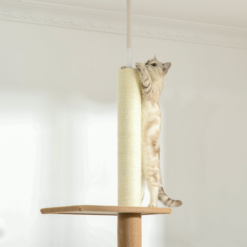 Tour d'escalade du sol au plafond avec poteaux à griffes recouverts de sisal Centre d'activité pour arbre à chat naturel