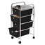 79cm H x 33cm W File Cart with Wheels-14604681