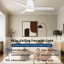 Ventilateurs de plafond Blades Lowe