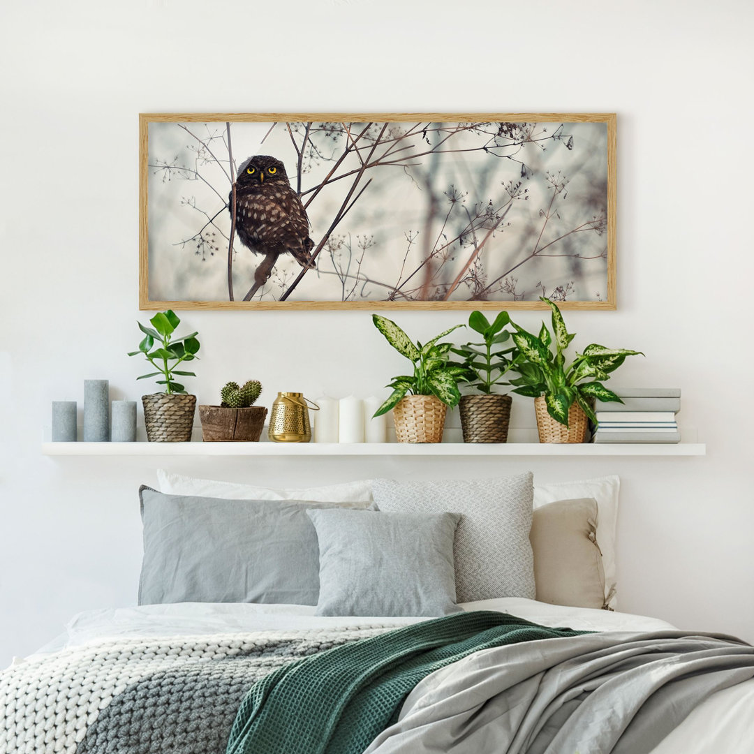 Gerahmtes Poster Owl in Winter