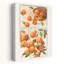 Aquarelle, oranges et fleurs, art abstrait contemporain de paysage de fruits-173403149