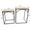 Loeffler 23.9'' tall Frame