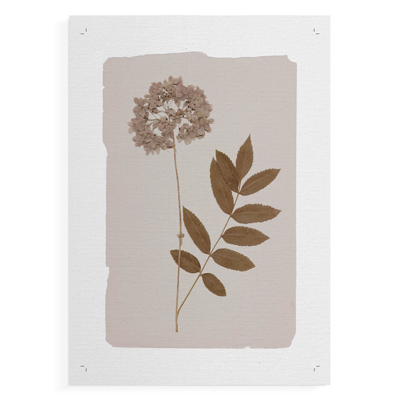 Monochromes botaniques IV - Impression sur toile seulement - NON-CADRE, H 18 po x l 12 po