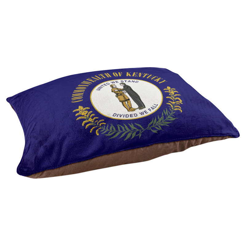 Coussin de concepteur de pavillon kentucky Burien, L 19,5 po x l 29,5 po, Marron foncé