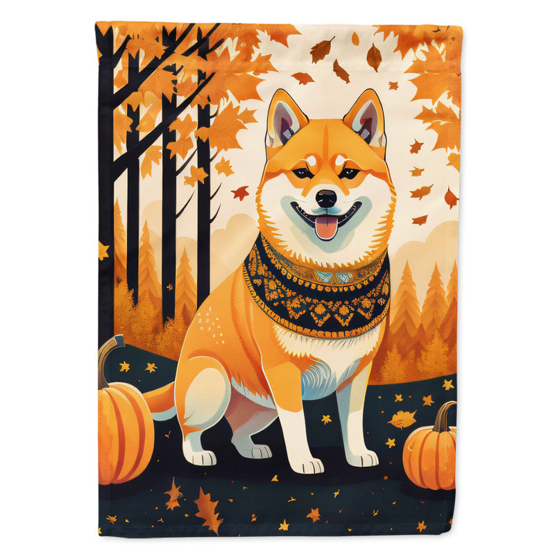 Double Sided 40'' H x 28'' W Polyester House Flag