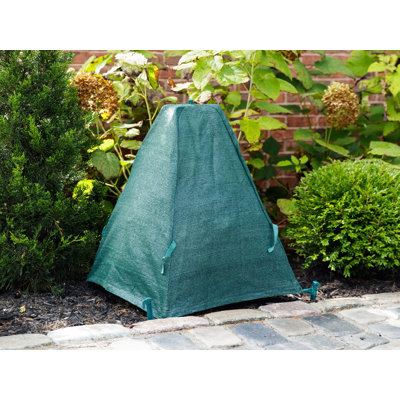 Green Shrub Cover