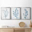 Antique Botanical In Blue VII - Ensemble de 3 peintures sur toile encadrées-2062084385-2062084390