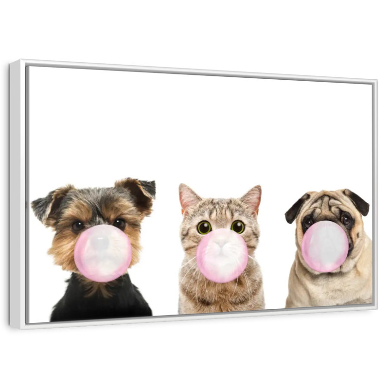 Bubble Gum, animaux de compagnie, Cadre flottant blanc, 25 po x 17 po
