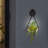 Outdoor Wall Mount Lighting With Plant-Friendly Design